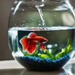 How to Prepare Tap Water for Betta Fish Aquariam