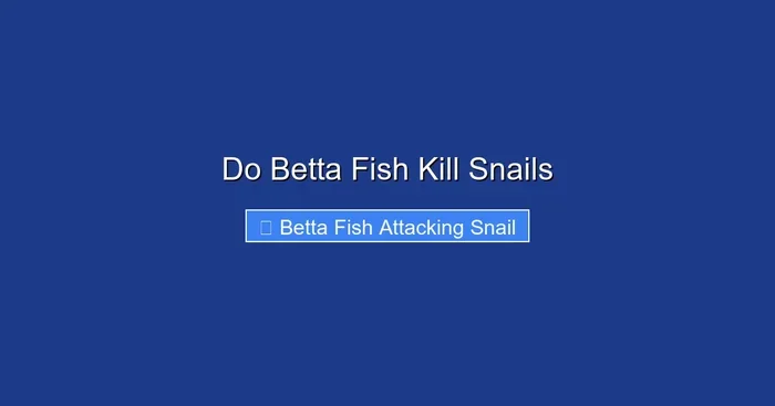 Do Betta Fish Kill Snails
