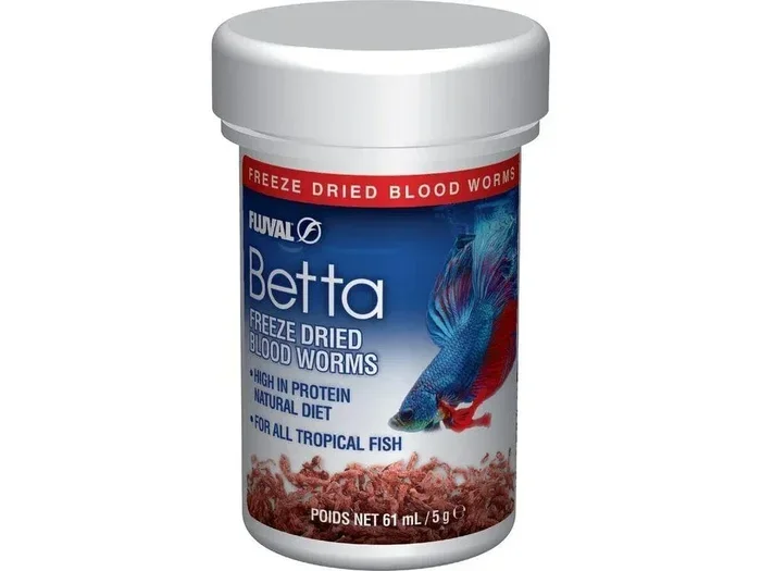How Many Bloodworms Should I Feed My Betta Fish