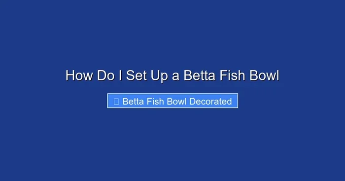 How Do I Set Up a Betta Fish Bowl