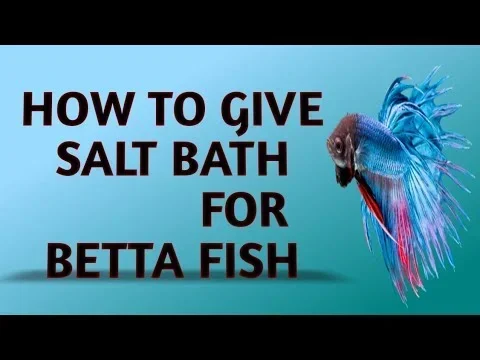 How Much Epsom Salt to Add to Betta Fish Bowl