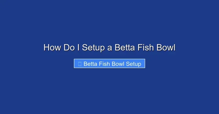How Do I Setup a Betta Fish Bowl