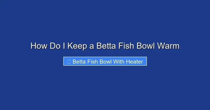 How Do I Keep a Betta Fish Bowl Warm