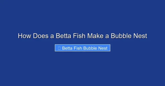How Does a Betta Fish Make a Bubble Nest