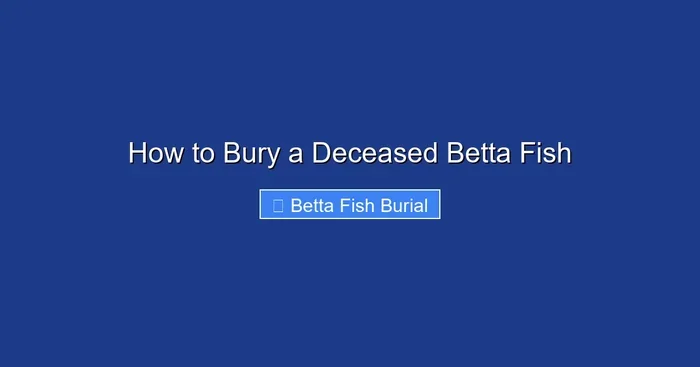 How to Bury a Deceased Betta Fish