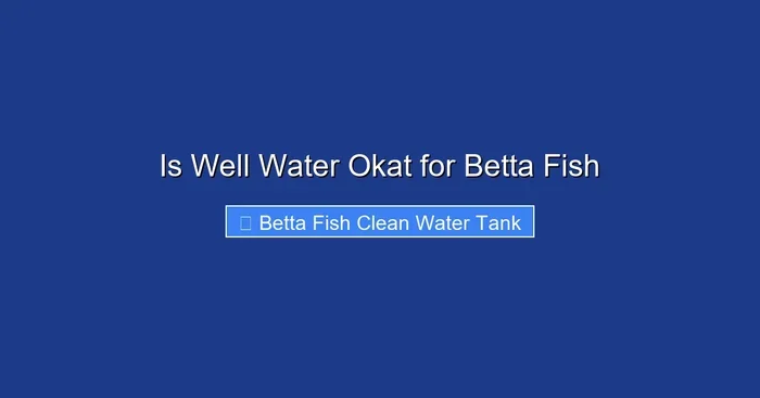 Is Well Water Okat for Betta Fish