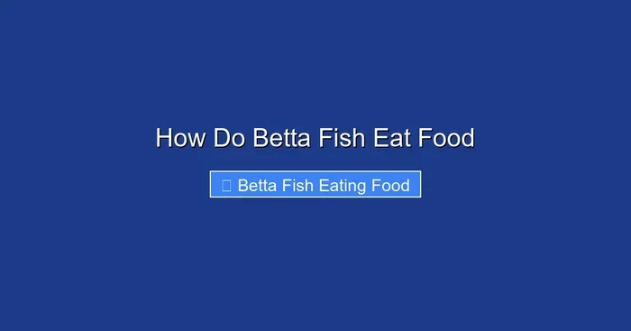How Do Betta Fish Eat Food