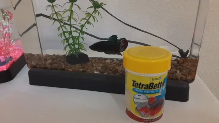 How Many Pellets Do I Feed a Betta Fish