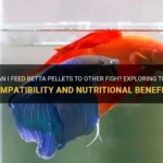 How Many Pellets Should I Feed My Betta Fish Everyday