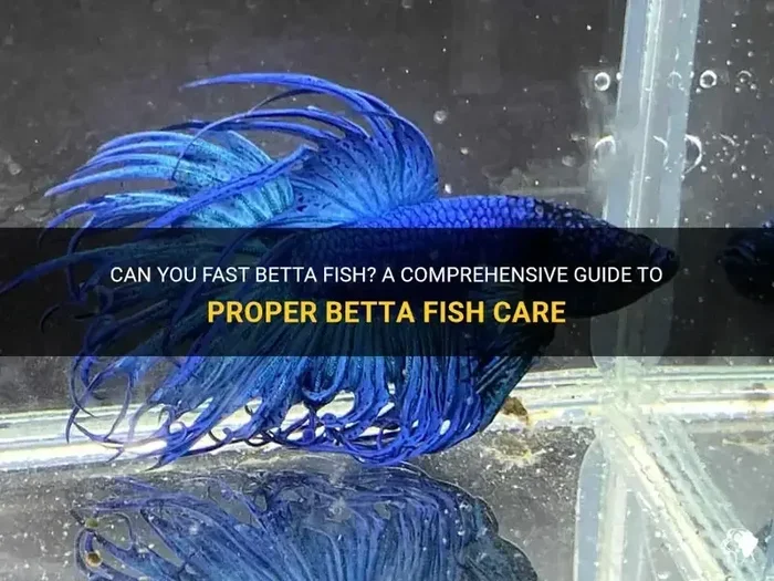 How Many Days Can I Fast My Betta Fish