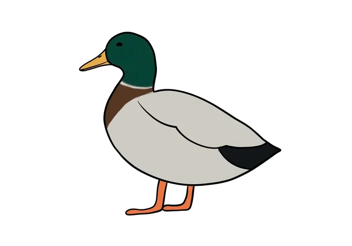 How Much Can I Feed My Betta Fish