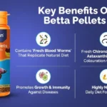 How Many Pellets Can I Feed My Betta Fish