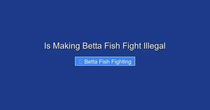 Is Making Betta Fish Fight Illegal