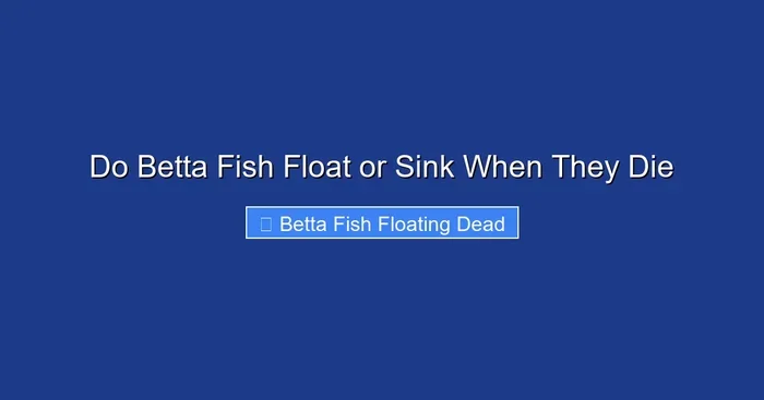 Do Betta Fish Float or Sink When They Die