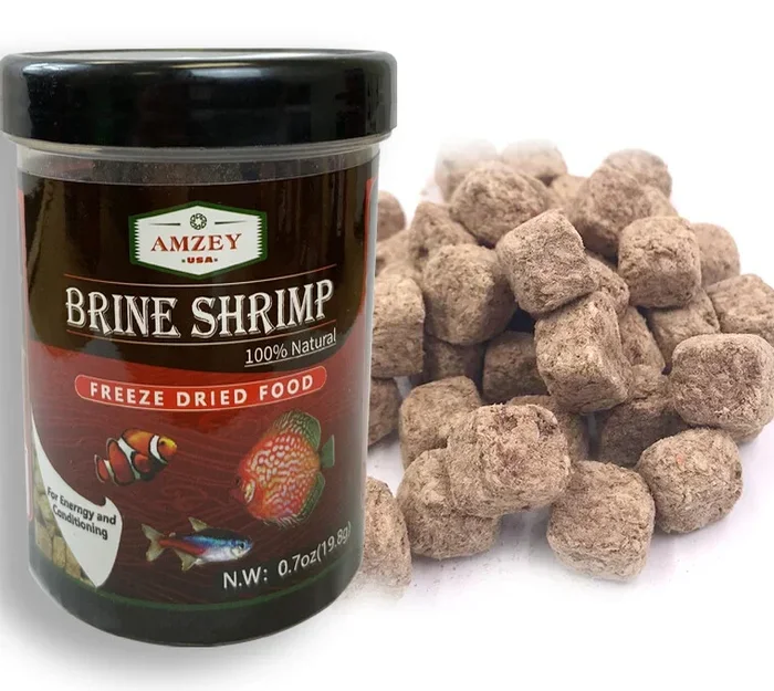 Can Betta Fish Eat Freeze Dried Shrimp