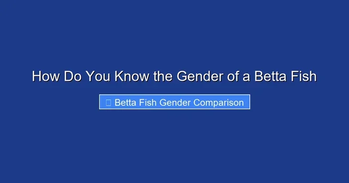 How Do You Know the Gender of a Betta Fish