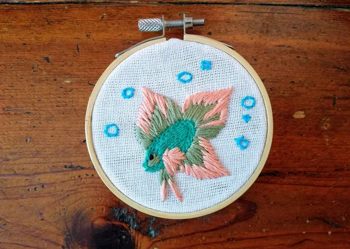 How to Make Hoop for Betta Fish