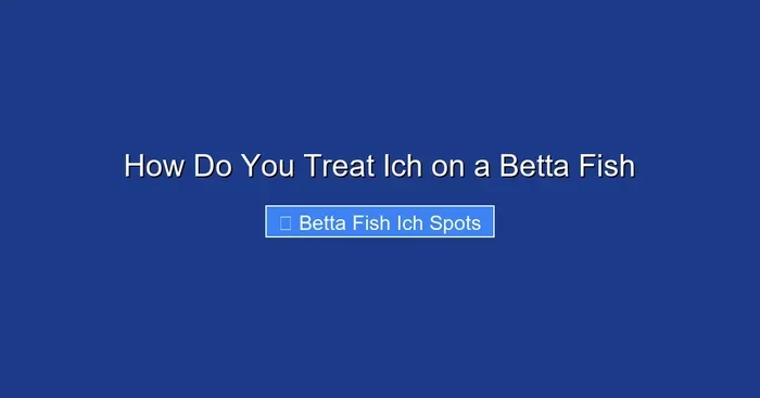 How Do You Treat Ich on a Betta Fish