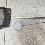 How to Net a Betta Fish