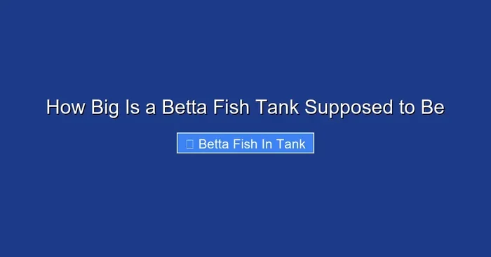 How Big Is a Betta Fish Tank Supposed to Be