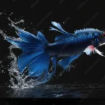 Do Betta Fish Jump Out of Water