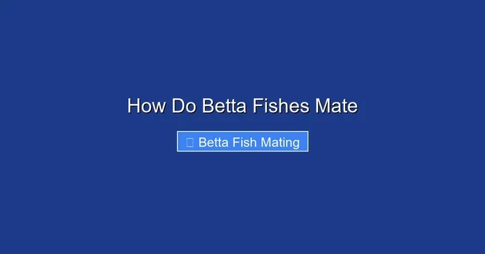 How Do Betta Fishes Mate