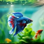How to Wake Up a Betta Fish