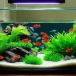 How to Talk to Betta Fish