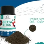 How Many Pellets Do U Feed a Betta Fish