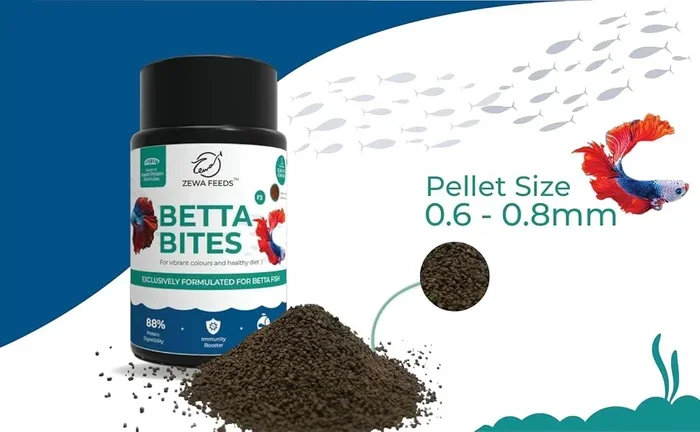 How Many Pellets Do U Feed a Betta Fish