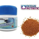 Why My Betta Fish Is Not Eating Pellets