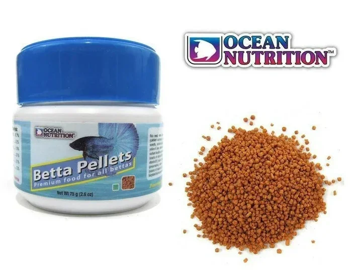 Why My Betta Fish Is Not Eating Pellets