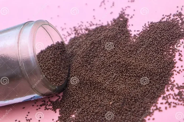 How Many Pellets to Give a Betta Fish
