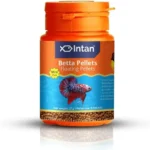 How Much Pellets Do You Feed a Betta Fish
