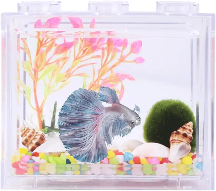 Can You Put a Betta Fish in a Plastic Container Safely