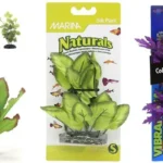 Are Plastic Plants Okay for Betta Fish