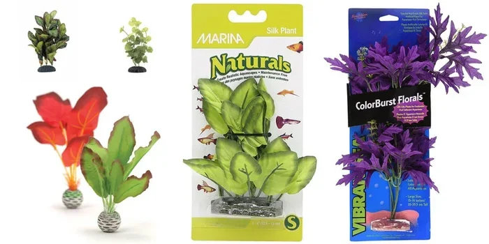 Are Plastic Plants Okay for Betta Fish