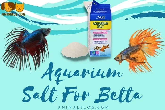 Is Salt Good for Curing Most Diseases in Betta Fish