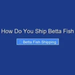 How Do You Ship Betta Fish