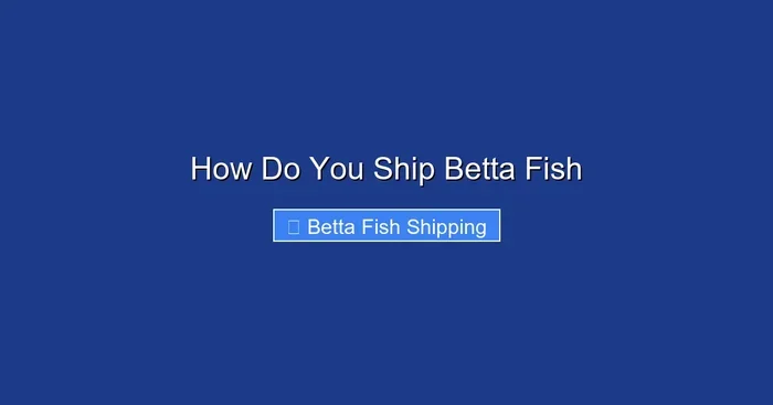 How Do You Ship Betta Fish