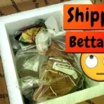How to Pack and Ship Betta Fish