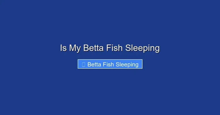 Is My Betta Fish Sleeping