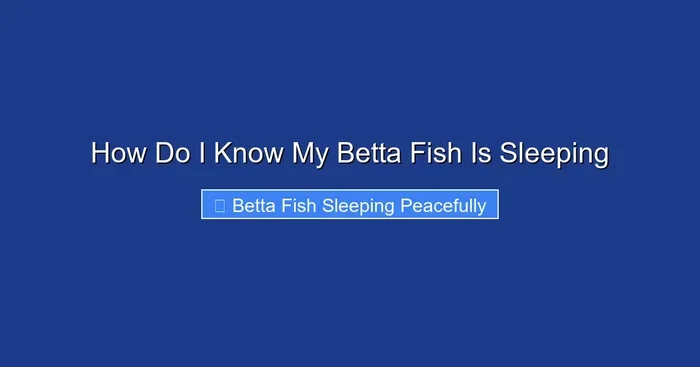 How Do I Know My Betta Fish Is Sleeping