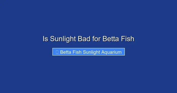 Is Sunlight Bad for Betta Fish
