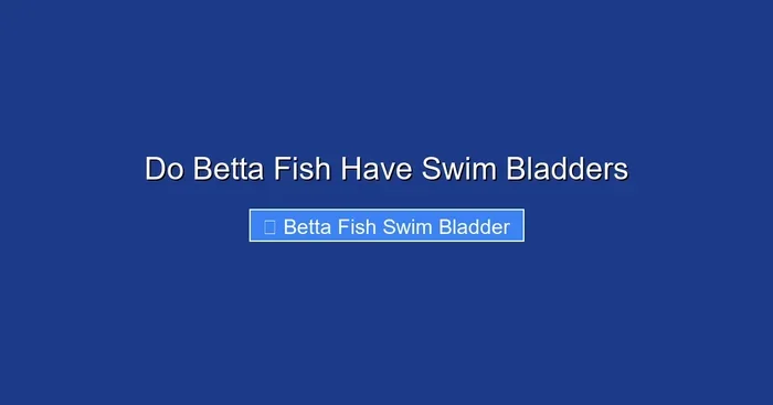 Do Betta Fish Have Swim Bladders
