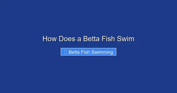 How Does a Betta Fish Swim