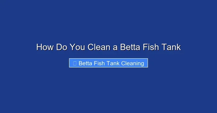 How Do You Clean a Betta Fish Tank