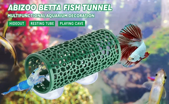 What Can I Get to Entertain Betta Fish