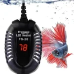 Should I Have a Heater for My Betta Fish
