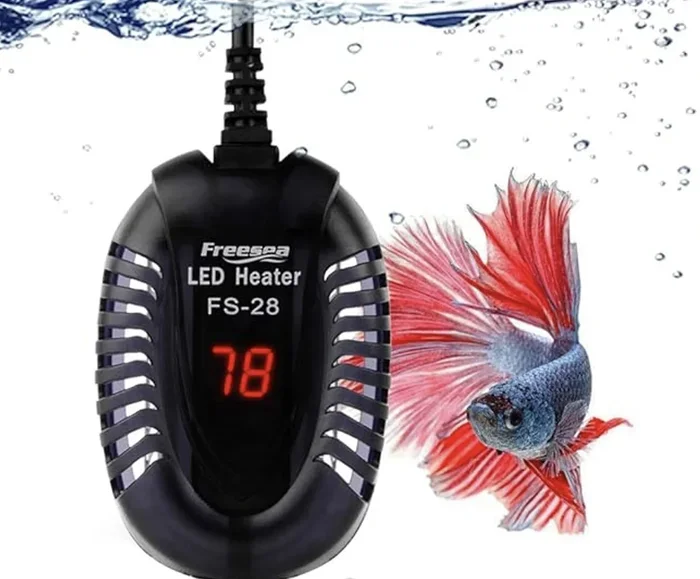 Should I Have a Heater for My Betta Fish